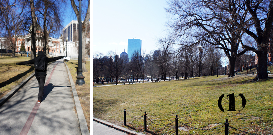 Boston Common, first step of the Freedom Trail