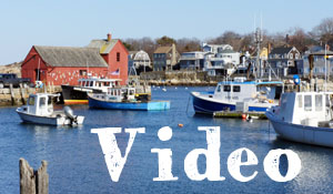 Les vidéos
