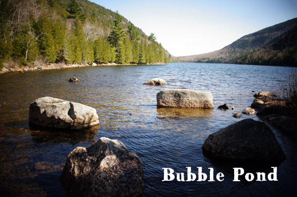 Bubble Pond - Acadia National Park