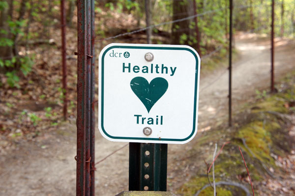 Healthy trail Walden Pond
