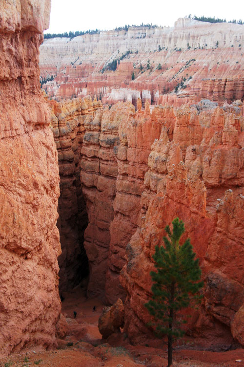 Bryce Canyon - Hoodoos - Utah - www.maathiildee.com