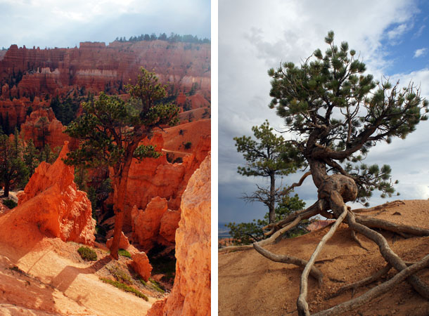 Bryce Canyon - Utah - www.maathiildee.com