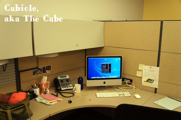 My cube aka The Cubicle