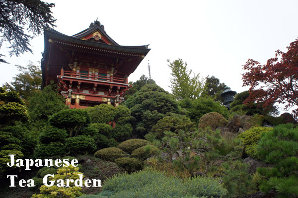Japanese Tea Garden - San Francisco - www.maathiildee.com
