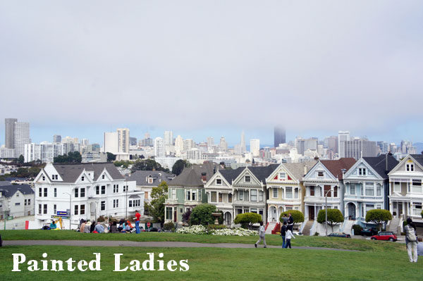 The Painted Ladies - San Francisco - www.maathiildee.com