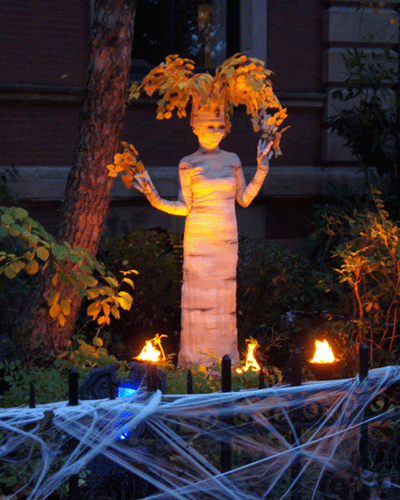 Arbre fantastique, Halloween, Marlborough Street, Boston