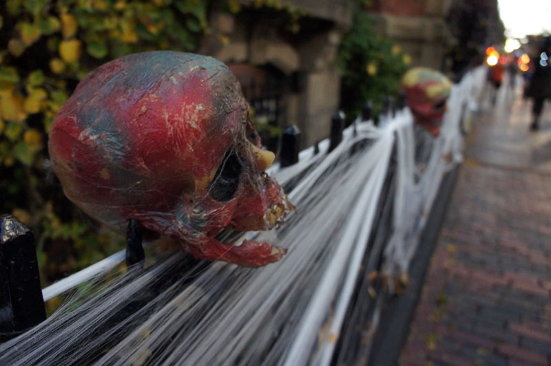 Crâne - Halloween, Malborough Street, Boston
