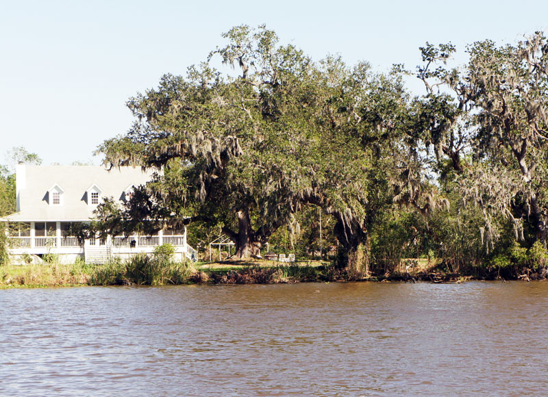 Barataria Swamp Tour Louisiana