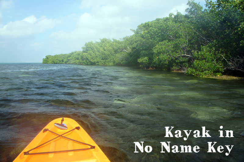 Kayak in No Name Key Florida