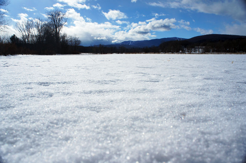 Vaches angora Vermont