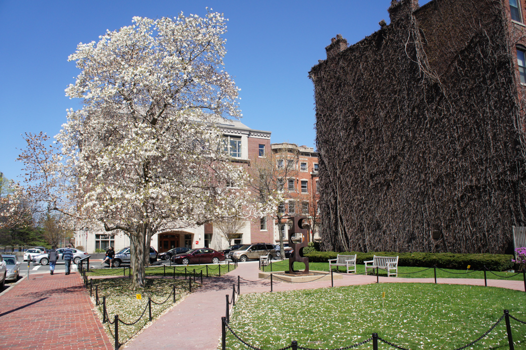 Printemps Boston University