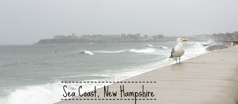 Sea Coast New Hampshire