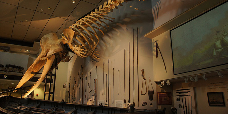 Dans le musée de la baleine - Nantucket