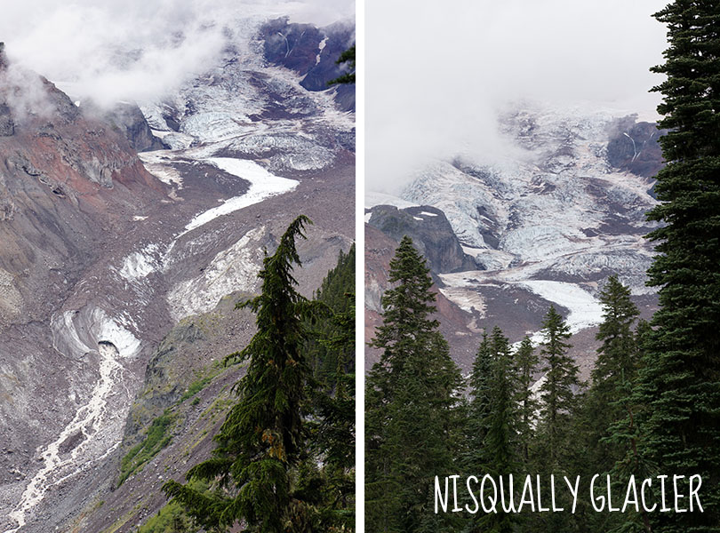 nisqually glacier - Mount Rainier National Park
