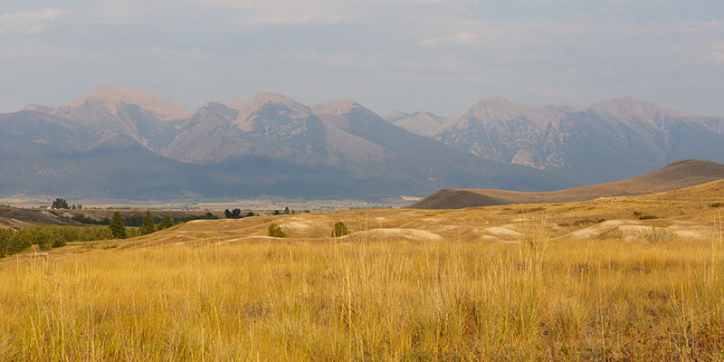 Bison Range Montana 2