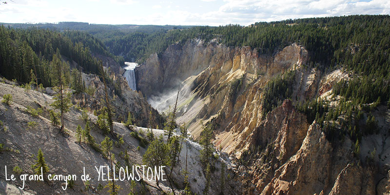 Le grand canyon de Yellowstone 1