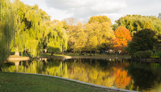 L'automne à Boston - l'été indien - parc