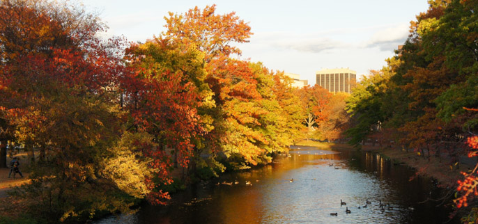 L'automne à Boston - l'été indien - rivière