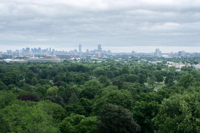 Mount Auburn cemetery - vue sur Boston