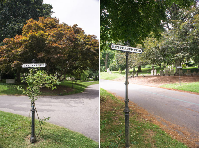 Chemins - Mount Auburn Cemetery