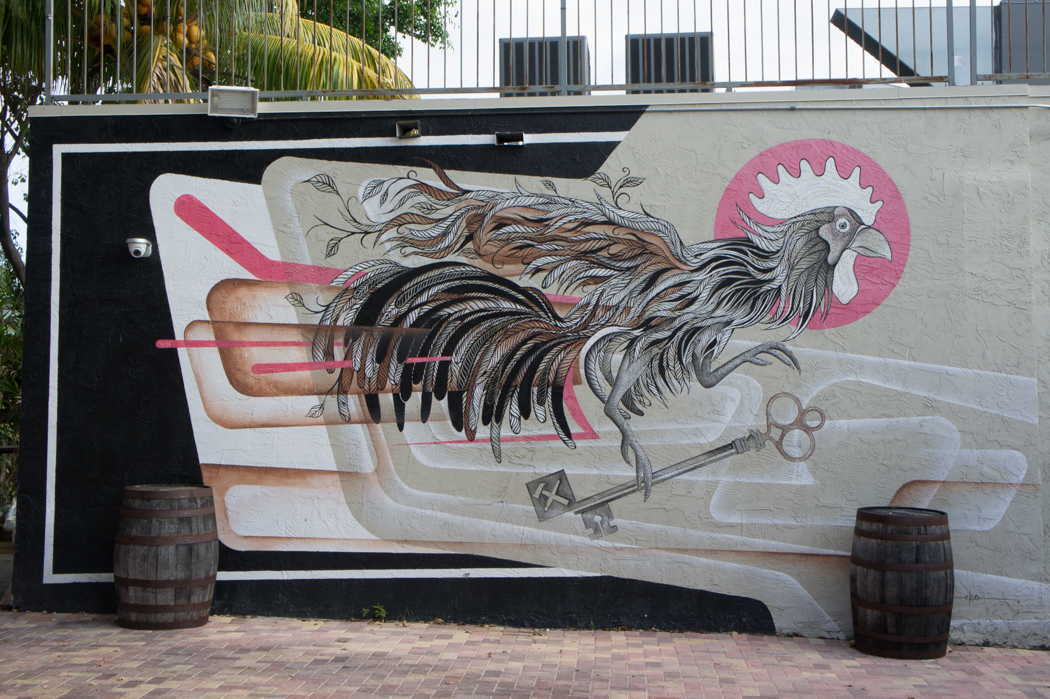 Graffiti à Wynwood, Miami 1