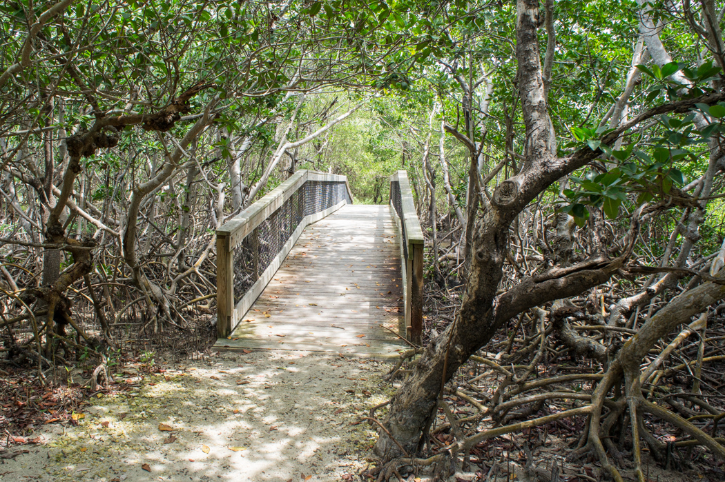 Long Key State Park - Trail