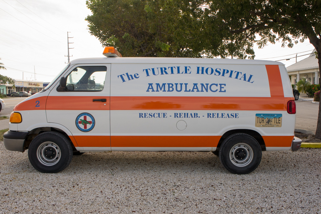 The turtle hospital ambulance