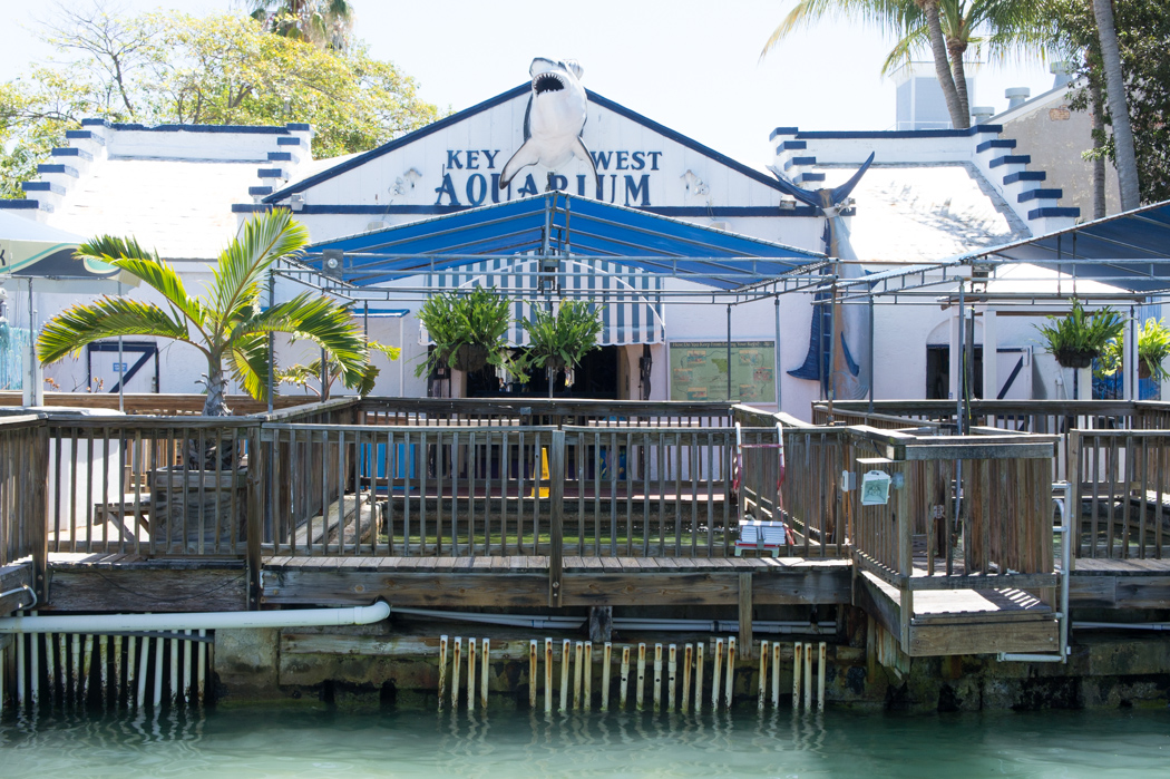 Key West Aquarium - Floride