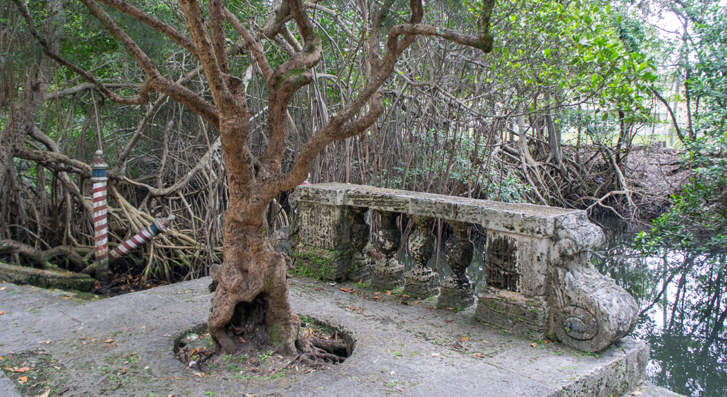 Villa Vizcaya - Coconut Grove - Miami -Floride - mangrove