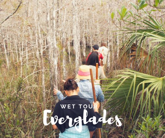 Wet Tour Everglades