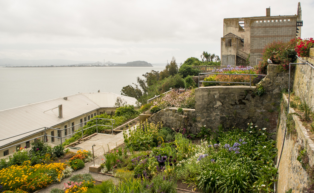 La prison d'Alcatraz - les jardins - San francisco