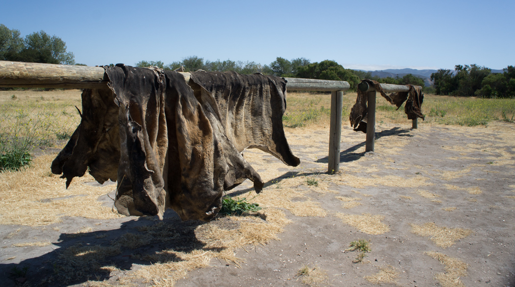 Peaux de bison - Purisima Mission Californie