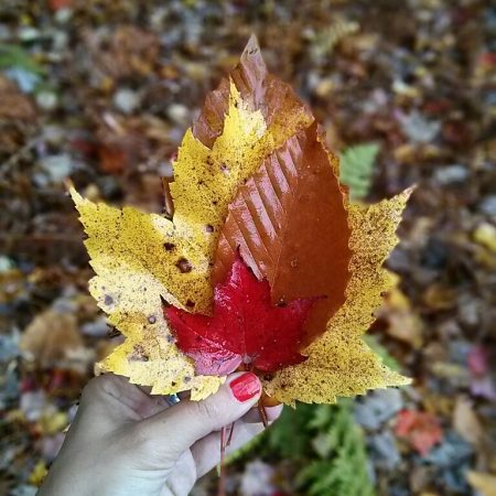 Instagram Mathilde Vermont des feuilles