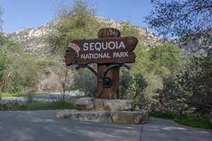 blog trip californie parc national des séquoias