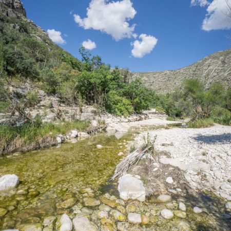 Guadalupe - Mc Kittrick Canyon
