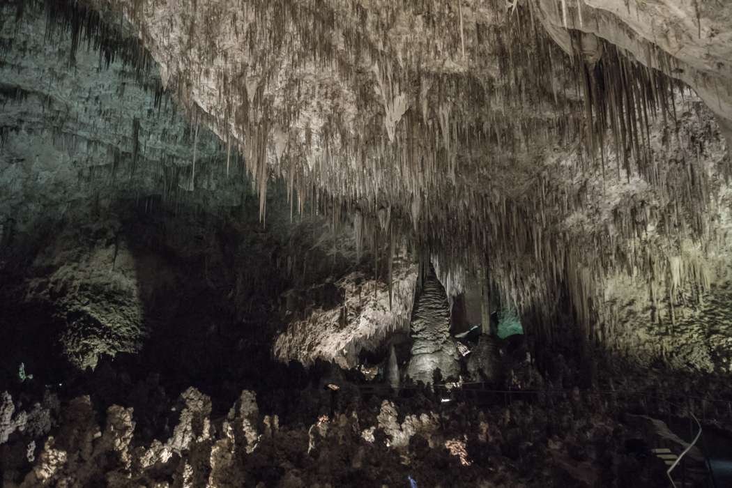 CARLSBAD caverns nouveau mexique-11