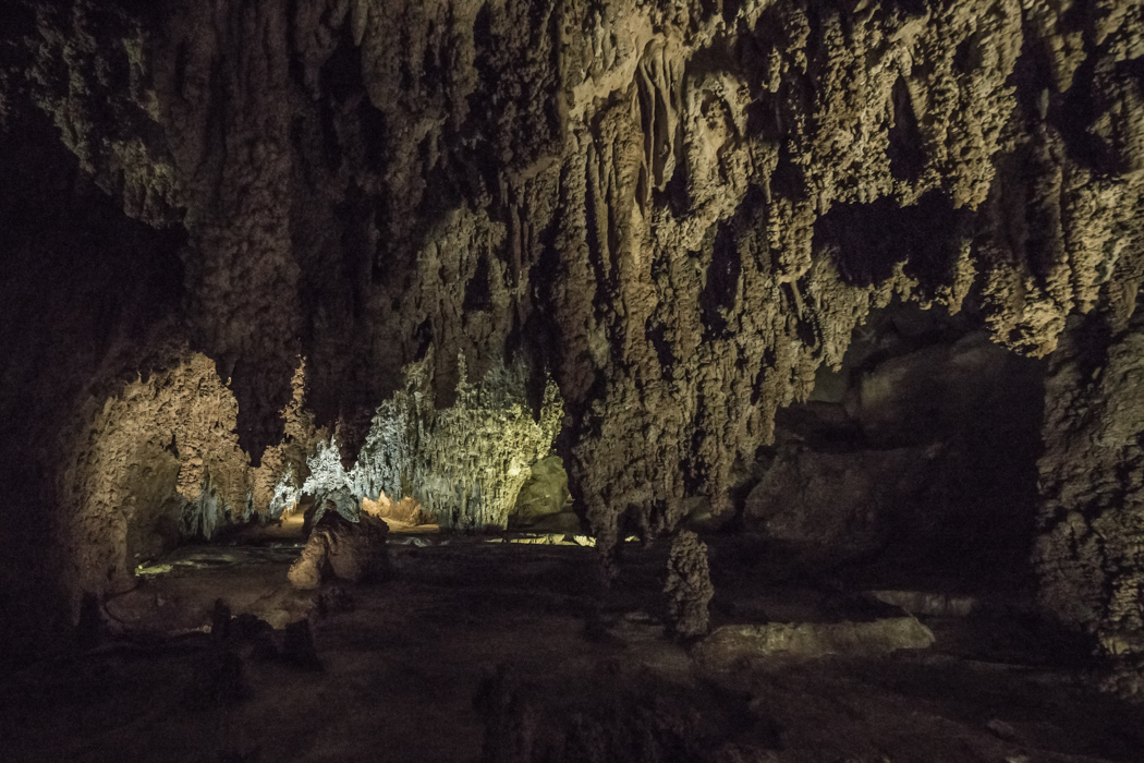 CARLSBAD caverns nouveau mexique-8