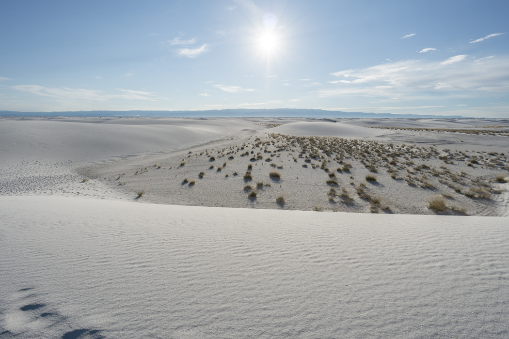 White sands dune nouveau mexique-11