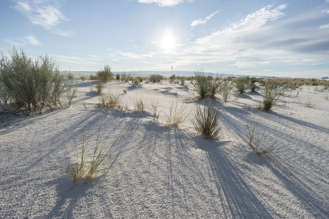 White sands dune nouveau mexique-9