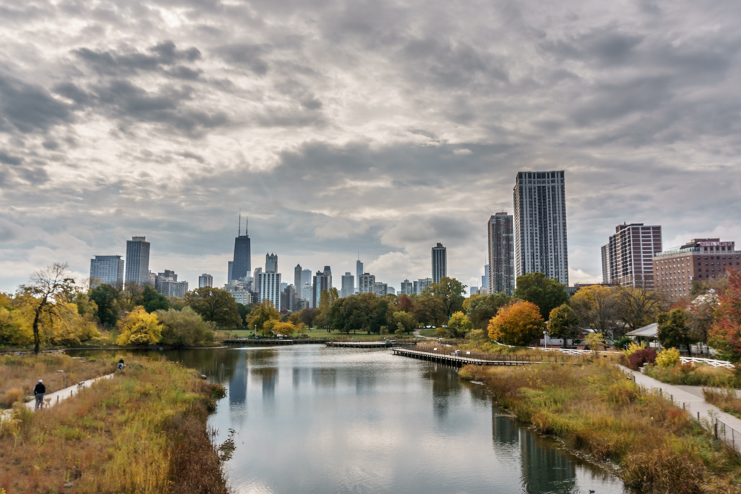 Visiter Chicago depuis le zoo Lincoln Park
