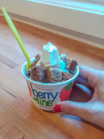 Berry Line Harvard Cambridge meilleur frozen yogurt