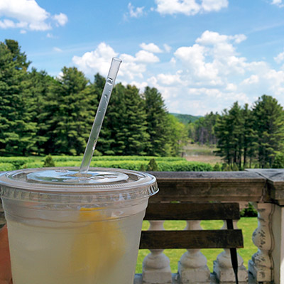 lemonade with a view