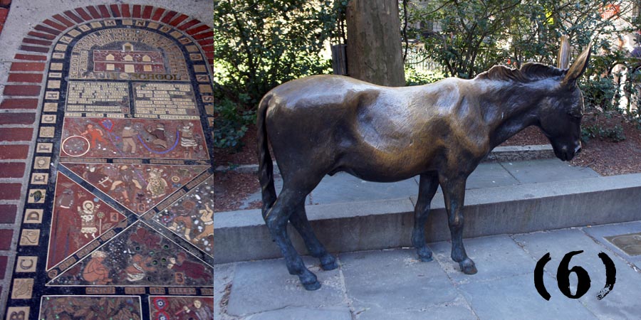 School street, latin school and donkey statue