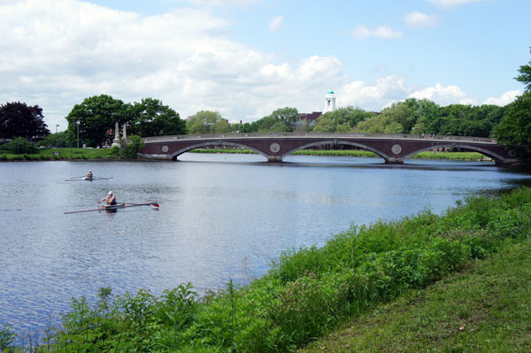 Aviron sur la Charles River