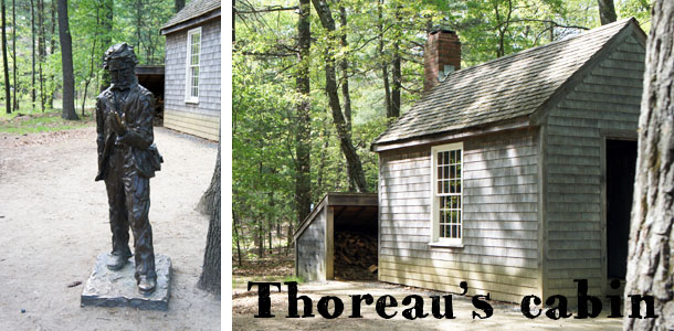Thoreau's cabin