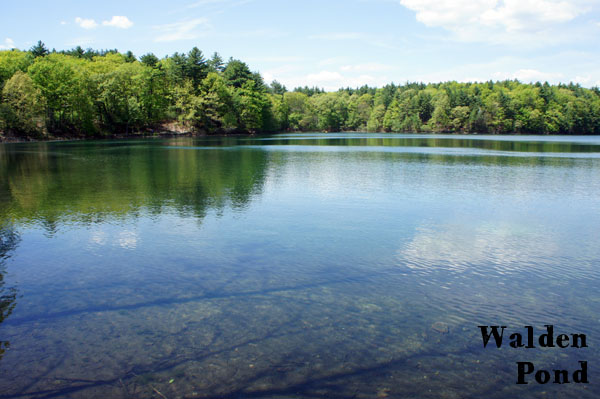 Walden Pond