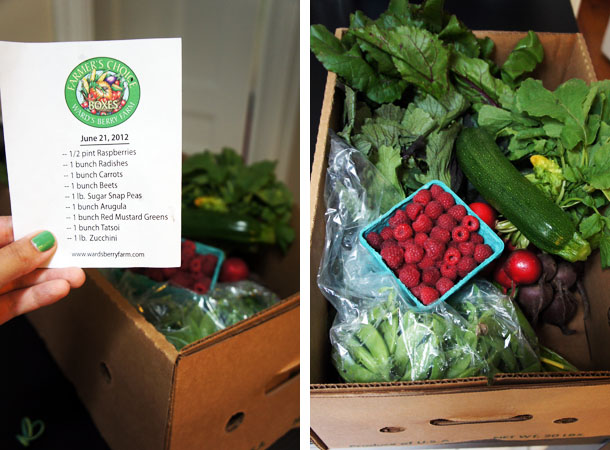 CSA box of the week