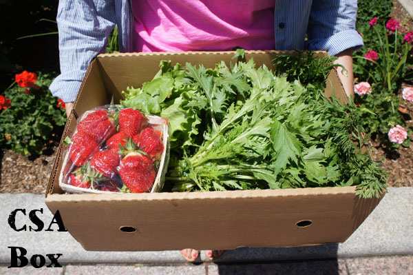 CSA Box