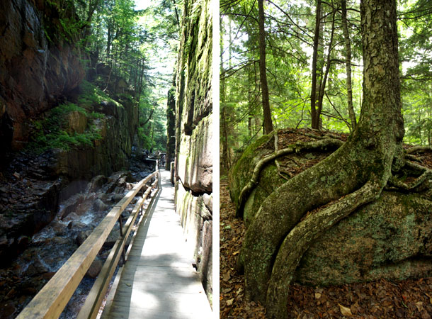 Flume Gorge