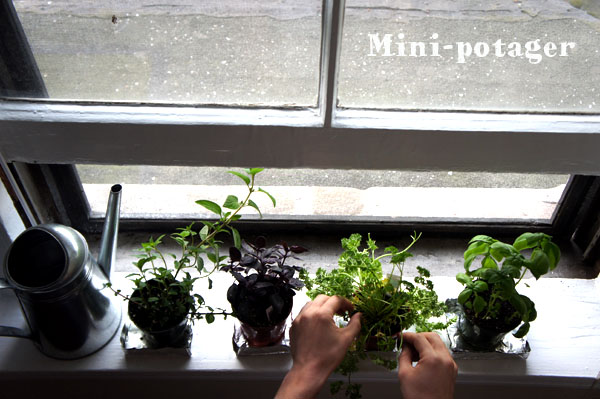 Mini potager sur balcon